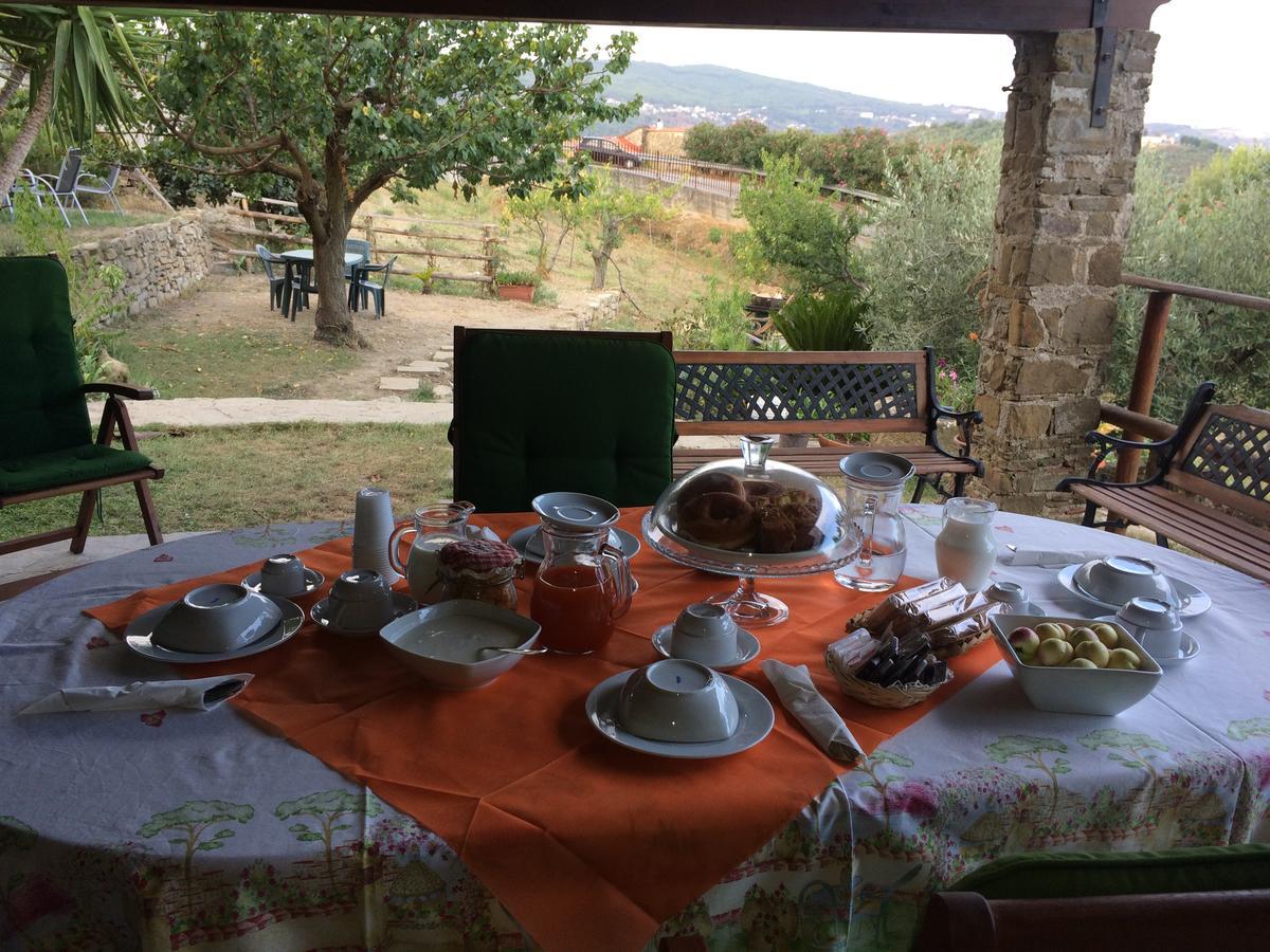 Pozzo Medievale Prignano Cilento Buitenkant foto